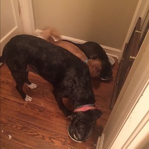 Meet your Posher, Ben